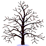 tree-seasons