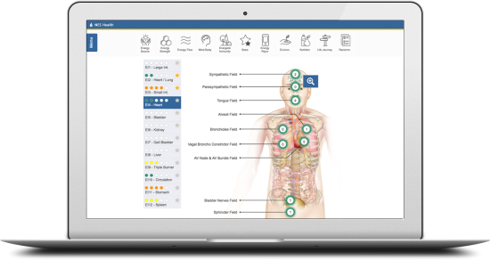 NES-Body-Field-Scan-Energy-Flow-Screen